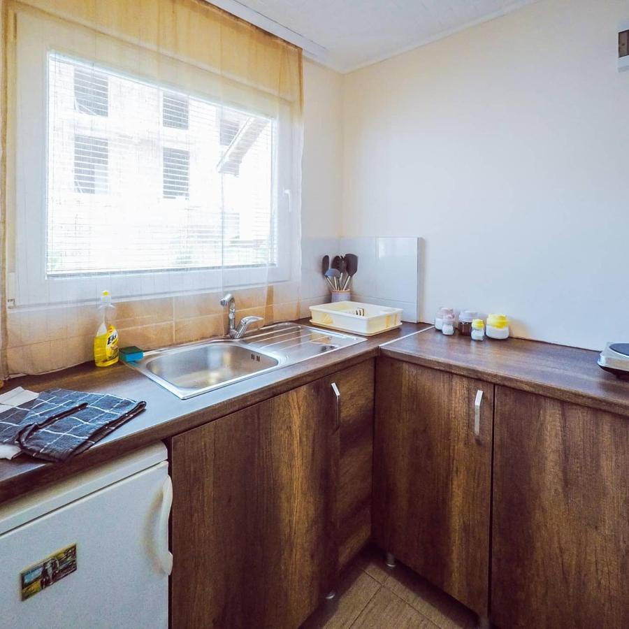 Apartmani Trajkovic Сокобаня Экстерьер фото